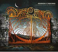 Groundation meets Brain Damage - Dreaming from an iron gate [Vinilo]