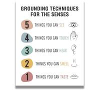 Grounding Techniques for the Senses | Mindfulness & Calm Corner Wall-Art for Office, Clinic, Home Decor - Gift for Anxiety, Mental Wellness(Framed,08x12inch(20x30cm))