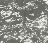 Grouper - A I A