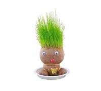 Grow Your Own Kits Grass Head Hair Grow Toy, Grass Head Plant Bonsai Pots, Colorful Straw Doll with Tray for Home Decor