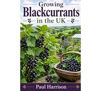 Growing Black Currents in the UK