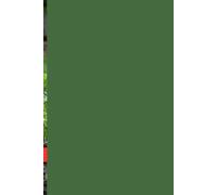 GROWING CARROT: A comprehensive Guide for Beginner and Experienced Gardeners.
