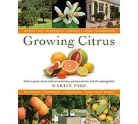 Growing Citrus - the Essential Gardeners Guide