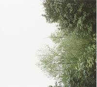Growing - The Soul Of The Rainbow and the Harmony of Ligh