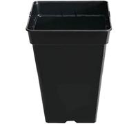 GROWMANIA Pack 10 Macetas Cuadradas para Plantas Negra 7L - Diez Maceteros de Plástico para Flores 20x20x24,5 cm - Base 16x16 cm