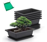 GROWNEER Paquete de 6 macetas de Entrenamiento para bonsái de 9 Pulgadas con bandejas de Humedad de Drenaje y 15 Etiquetas de Plantas, Maceta de plástico para Crecimiento de Plantas de bonsái para