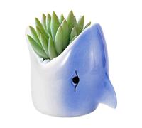 Grtheenumb Jarrón de Pescado | Macetas, Mini Maceta de cerámica con Bandeja de cerámica, macetas de tiburón para jardín Interior y Exterior, Plantas no Incluidas (Azul) (uno)