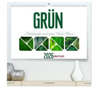 Grün Makrofotografien aus der grünen Welt der Pflanzen als Monatsplaner (hochwertiger Premium Wandkalender 2026 DIN A2 quer), Kunstdruck in Hochglanz: ... Hoffnung, Neuanfang, Klarheit und Frische.