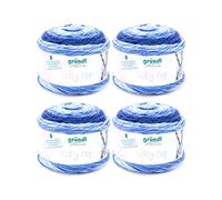 Gründl Lolly Pop hilo de ganchillo y punto (hilo universal similar a la lana y lavable 100% poliacrílico, 150 g / 240 m, tamaño de la aguja: 5-6, 4 x 150 g), Blueberry Swirl