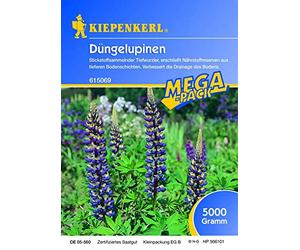 Gründünger-Saaten Dünge-Lupine, 5 kg Lupinus angustifolius