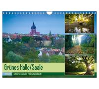 Grünes Halle/Saale - Meine wilde Händelstadt (Wandkalender 2026 DIN A4 quer), CALVENDO Monatskalender: Die grüne Seite von Halle/Saale