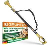 GRÜNTEK Pértiga Telescópica - Mini Motosierra Batería Telescópica y Asta Tijera de Podar Eléctrica (solo GRÜNTEK) - Pertiga Motosierra Eléctrica 135-250 cm para Corte y Poda de Ramas en Altura