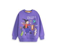 Gruffalo Sudadera Unisex para niños Morada con diseño de Bruja, Gato, Perro, Rana y pájaro de Room On The Broom | Camiseta con Estampado de Dibujos Animados y la Frase ¿Hay Sitio en la Escoba? ¡Sí!