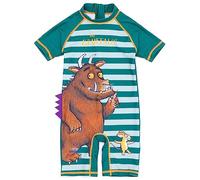Gruffalo The Traje de baño Boys Surf Suit | Niñas Niños pequeños Ratón Personajes del Bosque Traje de baño Verde Rayado | Mercancía de Libros Animados de programas de televisión
