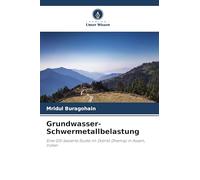 Grundwasser-Schwermetallbelastung: Eine GIS-basierte Studie im Distrikt Dhemaji in Assam, Indien