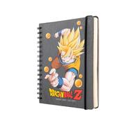 Grupo Erik Agenda Dragon Ball 2026 2027 Semana Vista