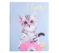 Grupo Erik Álbum fotos 13x20 - Álbum Studio Pets Cat Tabby 48 bolsillos, Producto con licencia oficial