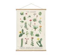 Grupo Erik Banderola Botanical cacti - Póster tela cactus 53x71 cm - Cuadro tela pared, Decoración pared cactus - Póster cactus