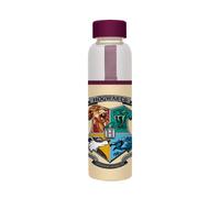 Grupo erik botella harry potter - botella agua cristal para niños 500