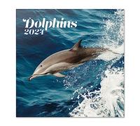 Grupo Erik Calendario 2024 pared Delfines - Calendario pared 2024 - Planificador mensual 30x30 cm | Calendario delfines 2024 - Calendario animales 2024