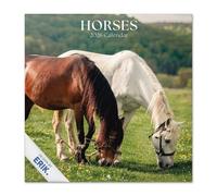 Grupo Erik Calendario 2026 pared Caballos - Almanaque pared 2026 : Planificador mensual Con espacio para Anotar, Ilustraciones y Fácil de colgar (30x30cm)