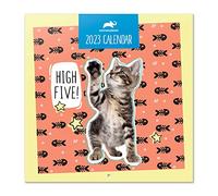 Grupo Erik Calendario Animal Planet 2023 - Calendario 2023 pared con certificado FSC - Calendario mensual 30x30cm - Producto con licencia oficial