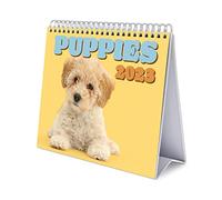 Grupo Erik Calendario escritorio Deluxe perros 2023 - Calendario 2023 sobremesa con certificado FSC - Calendario perros 2023 │ Calendario mesa 2023 - Calendario anual - Producto con licencia oficial