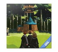 Grupo Erik Calendario Harry Potter 2026 pared - Almanaque pared 2026 : Planificador mensual Con espacio para Anotar, Ilustraciones y Fácil de colgar (30x30cm)