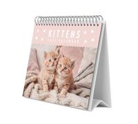 Grupo Erik Calendario Sobremesa 2027 Gatitos - Calendario Mesa 19,5x16,5cm | Planificador Mensual, 12 Ilustraciones, 2 Formatos, Caja Protectora