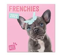 Grupo Erik Calendario Studio Pets French Bulldog 2022 - Calendario perros - Calendario 2022 pared - Calendario pared animales | Calendario mensual - Producto con licencia oficial
