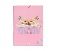 Grupo Erik Carpeta Escolar A4 Studio Pets Rabbits - Carpeta solapas rosa Tapa Dura Infantil con gomas | Material escolar para Vuelta al cole, Para Niños y Niñas