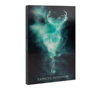 Erik Cuaderno A5 punteado Harry Potter – Portada lenticular, Tapa dura, 192 págs