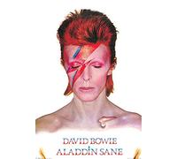 Grupo Erik Editores Poster David Bowie Aladdin Sane