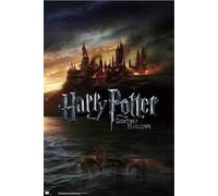 Grupo Erik Editores Poster Harry Potter And The Deathly Hollows