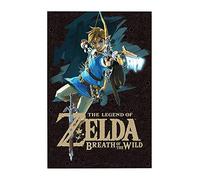 Grupo Erik Editores Poster Zelda Breath Of The Wild Game Cover