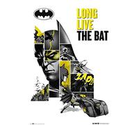 Grupo Erik ERIK - Póster 80 aniversario Batman, DC Comics