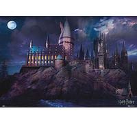 Grupo Erik ERIK - Póster Harry Potter Hogwarts, 61 x 91, 5 cm