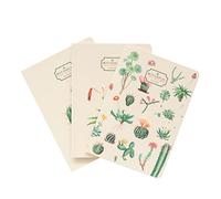 Grupo Erik Libretas A6 cactus - Pack Libretas pequeñas | 3 Cuadernos bonitos : Cuaderno punteado + Cuaderno hojas blancas + Cuaderno lineas (Tapas blandas, 64 págs cada uno)