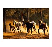 Grupo Erik - Póster Caballos Andaluces, GPE5532