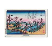 Grupo Erik Poster Cherry Trees in Bloom on The Embankment at Koganei