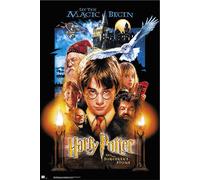Grupo erik poster harry potter 1