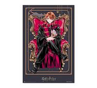 Grupo Erik Poster Harry Potter Wizard Dynasty Ron Weasley - Laminas decorativas 61x91,5cm a todo color | Posters para pared ideal decoración habitación Harry Potter regalos, Harry Potter merchandising