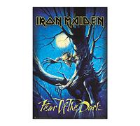 Grupo Erik Poster Iron Maiden Fear of the Dark - Laminas decorativas 61x91,5cm a todo color | Posters para pared ideal decoración habitación