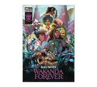 Erik Póster Marvel Black Panther Wakanda Forever Comic 91.5x61cm