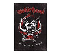 Grupo Erik Poster Motorhead born to lose - Laminas decorativas 61x91,5cm a todo color | Posters para pared ideal decoración habitación