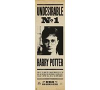 Grupo Erik Poster Puerta Harry Potter Indeseable Nº1