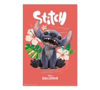 Grupo Erik Poster Stitch Disney, Live Action
