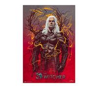 Poster the witcher 2 gerald de rivia