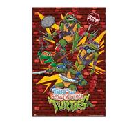 Grupo Erik Poster Tortugas Ninja