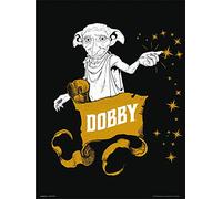 Grupo Erik Print Harry Potter Dobby, Multicolor, 30x40 cm